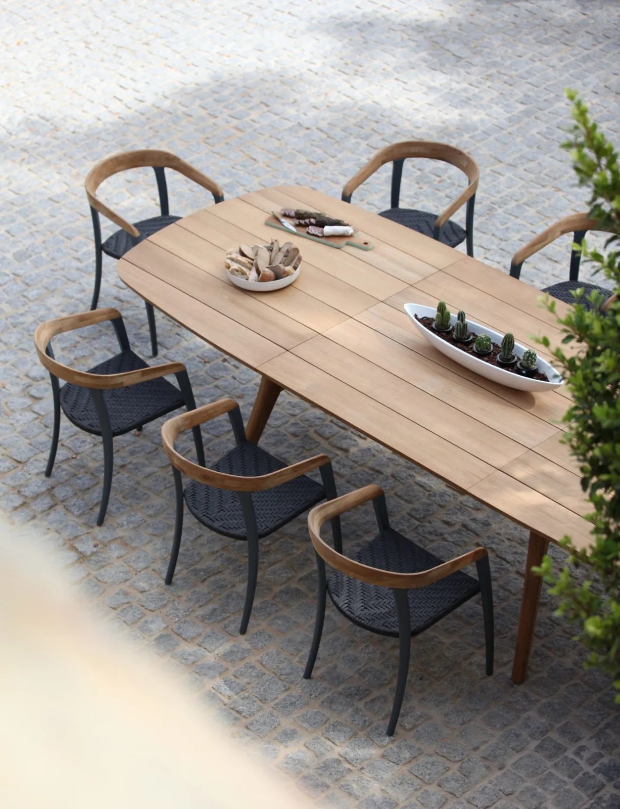 Zidiz collection by Royal Botania